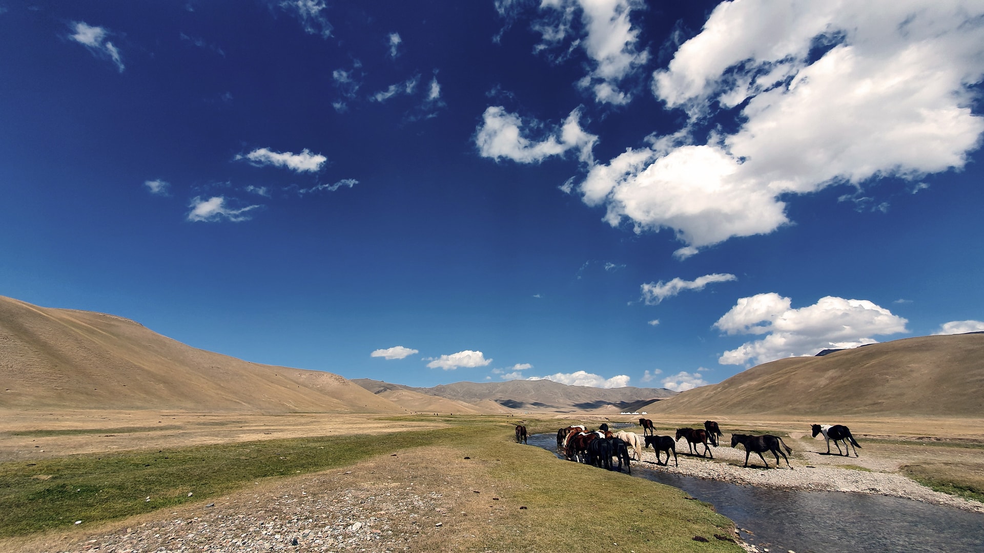 Creating projects of the future: Kyrgyz media hackathon case study